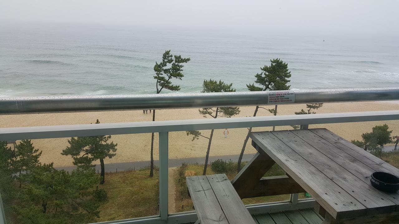 Time Motell Gangneung Exteriör bild