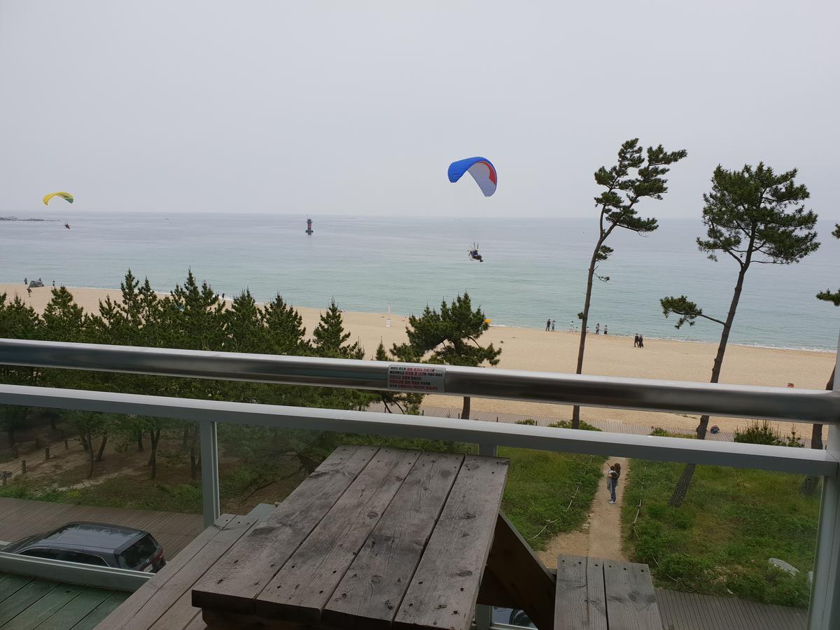 Time Motell Gangneung Exteriör bild
