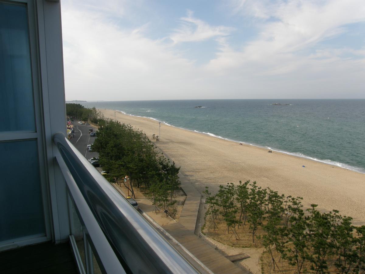 Time Motell Gangneung Exteriör bild