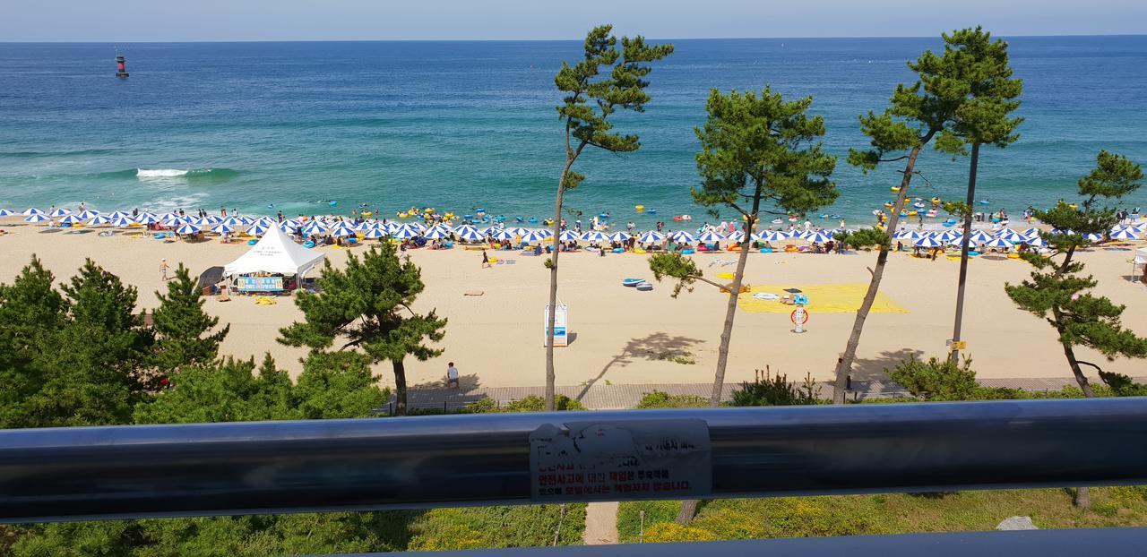 Time Motell Gangneung Exteriör bild