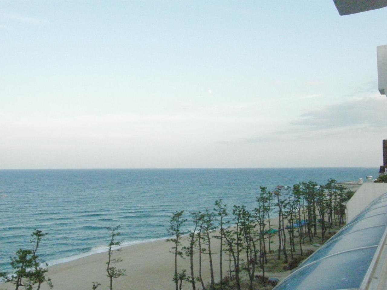 Time Motell Gangneung Exteriör bild