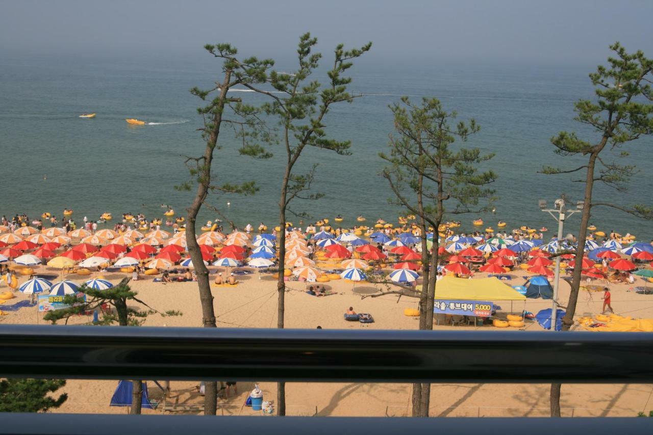 Time Motell Gangneung Exteriör bild